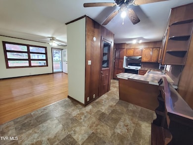 1267 Highway 143, Roan Mountain, TN 37687 - photo 6