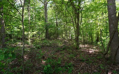 2 LTS Beaver Lake L275 276, Ellijay, GA 30540 - photo 4