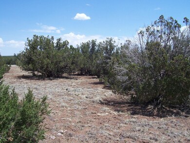100_2075.JPG