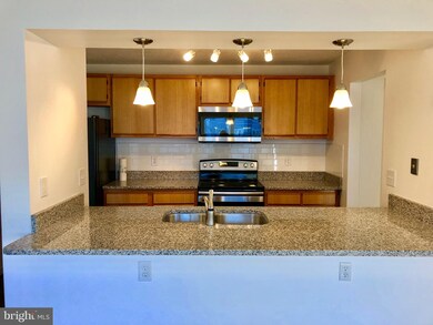 2610 Camelback Ln unit 519, Silver Spring, MD 20906 - photo 6