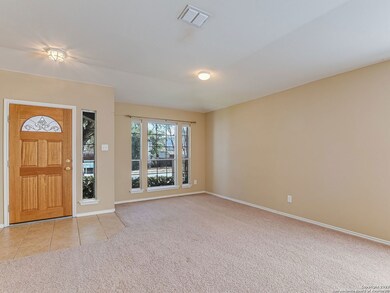 10003 Shetland Wind, San Antonio, TX 78254 - photo 2