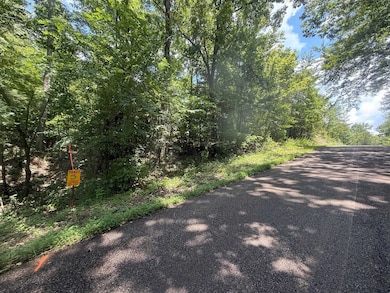 TRACT 5 Cherry Chapel Loop, Savannah, TN 38372 - photo 4