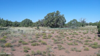 4434 Indian Bend Rd, Snowflake, AZ 85937 - photo 4