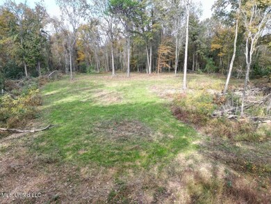 4 Old Hamburg Rd, Roxie, MS 39661 - photo 5
