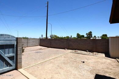 Backyard2 (5)