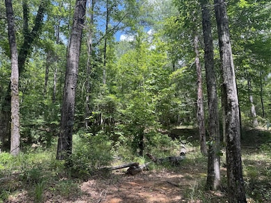 0 County Road 51, Greensboro, AL 36744 - photo 5