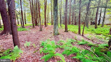 Lot 207 Cygnus Rd, Indian Rocks, PA 18436 - photo 2