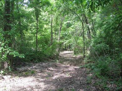 5815 Covey Ln, Tyler, TX 75703 - photo 4