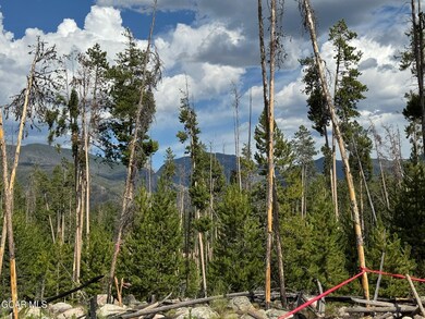 TBD Gcr 471 #4, Grand Lake, CO 80447 - photo 7