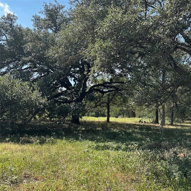 2477 W Highway 159, La Grange, TX 78945 - photo 4