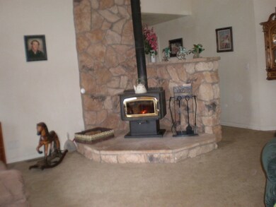 wood stove