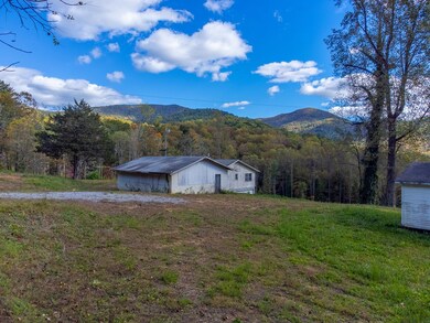 8125 Ellijay Rd, Franklin, NC 28734 - photo 6