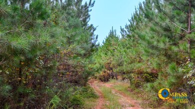 0 Dawkins Rd, Pacolet, SC 29372 - photo 6