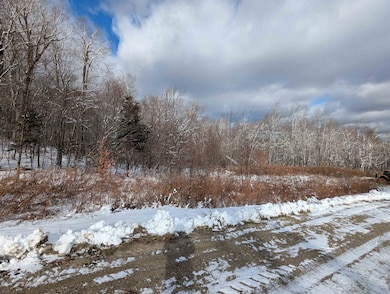 41 Moose Hollow Rd, Winhall, VT 05340 - photo 3