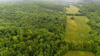 230 Roberts Creek Rd, Waverly, TN 37185 - photo 5