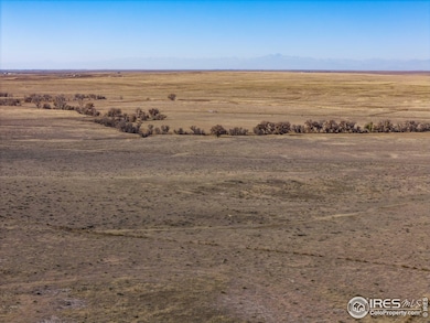 0 Tbd Cr 77, Briggsdale, CO 80611 - photo 3