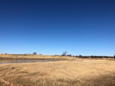 1034 Hope Ct, Boyd, TX 76023 - photo 5