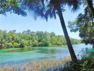 19886 SW 97th Ln, Dunnellon, FL 34432 - photo 4