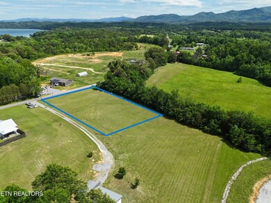 Drone view