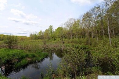 0 Ferris Ln unit 114941, Red Hook, NY 12571 - photo 5