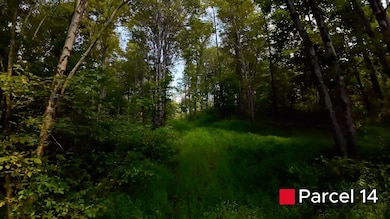 0 Crooked Tree Rd, Dexter City, OH 45727 - photo 6