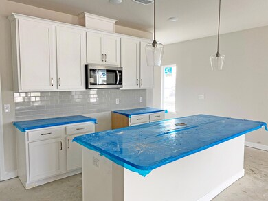 209 Grappa Way, Summerville, SC 29486 - photo 5