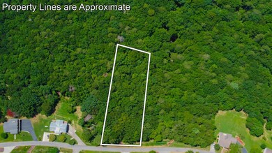 Lot 36 Talona Mountain Rd, Ellijay, GA 30536 - photo 5