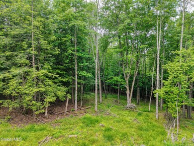 TBD Boulder Brook Rd unit Lot  12, Windham, NY 12496 - photo 7