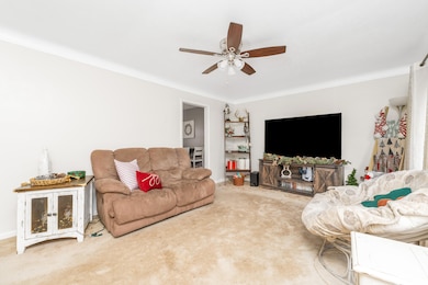 733 Hazen St, Paw Paw, MI 49079 - photo 2