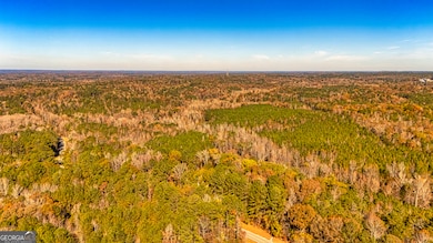 3201 Tommy Lee Cook Rd, Newnan, GA 30263 - photo 5