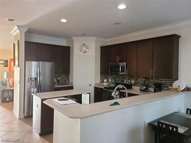 11135 River Trent Ct, Lehigh Acres, FL 33971 - photo 6