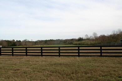 1835 Live Oak Dr, Jacksonville, FL 32246 - photo 5