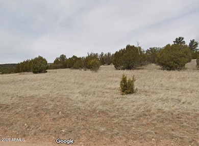 000 Via de Oro -- unit 1332, Seligman, AZ 86337 - photo 4