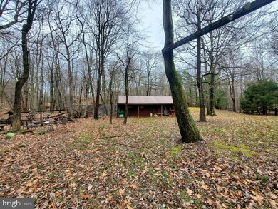 11 Whitetail Pass, Morgantown, PA 19543 - photo 5