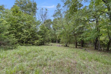 Lots 27&28 Wildflower, Kimberling City, MO 65686 - photo 4