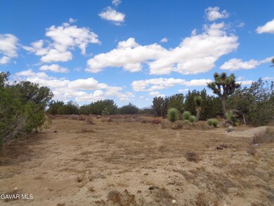 190th Stw Ave D12, Palmdale, CA 93591 - photo 5