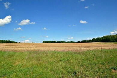 0 Hwy A unit 905101, Webster, WI 54893 - photo 4