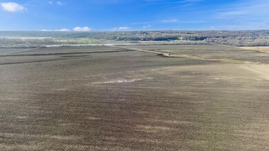 DJI_0783
