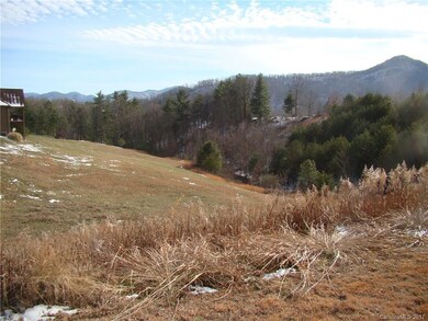 134 Big Sky Dr unit 54, Leicester, NC 28748 - photo 4