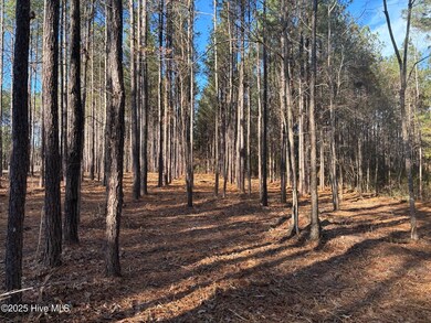 3227 Lee Landing Rd, New Bern, NC 28560 - photo 5