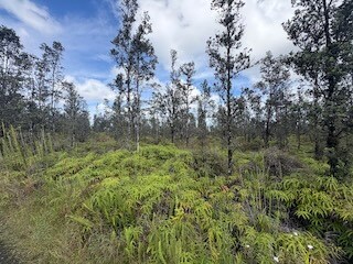 0 Road 2 (Ao) unit 725884, Mountain View, HI 96771 - photo 4