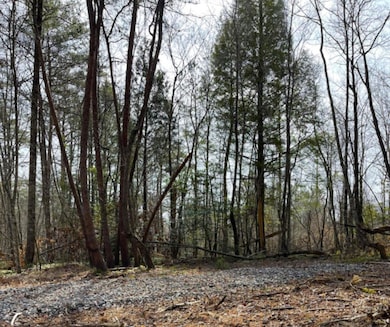 Tract Shadow Ridge Dr, Williamsburg, KY 40769 - photo 3