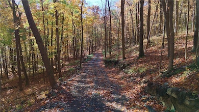 A wooded building area sits along a cut-in path, offering privacy and a natural setting for a new home. Mature trees surround the site, creating a peaceful backdrop while still allowing room to shape your ideal homesite.