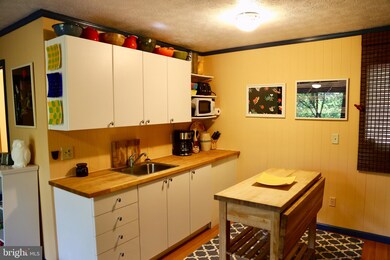 256 Snyders Ridge Rd, Mathias, WV 26812 - photo 4