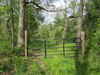 Off Imlertown Rd, Bedford Township, PA 15522 - photo 2