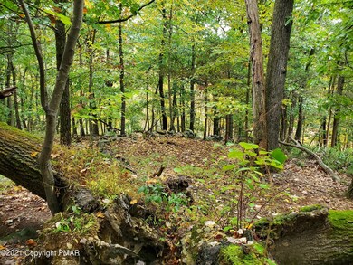 405 Stroudsmoor Rd, Stroudsburg, PA 18360 - photo 3