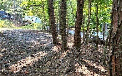 L458 23rd St, Ellijay, GA 30540 - photo 4