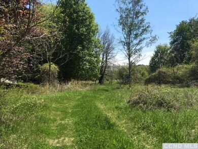 201 Cemetery Rd, Clermont, NY 12526 - photo 3