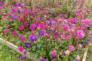 1916 9 1 2 Ave SE, Rochester, MN 55904 - photo 5