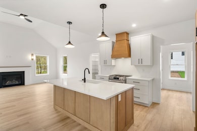 19 Lily Ln, Londonderry, NH 03053 - photo 4